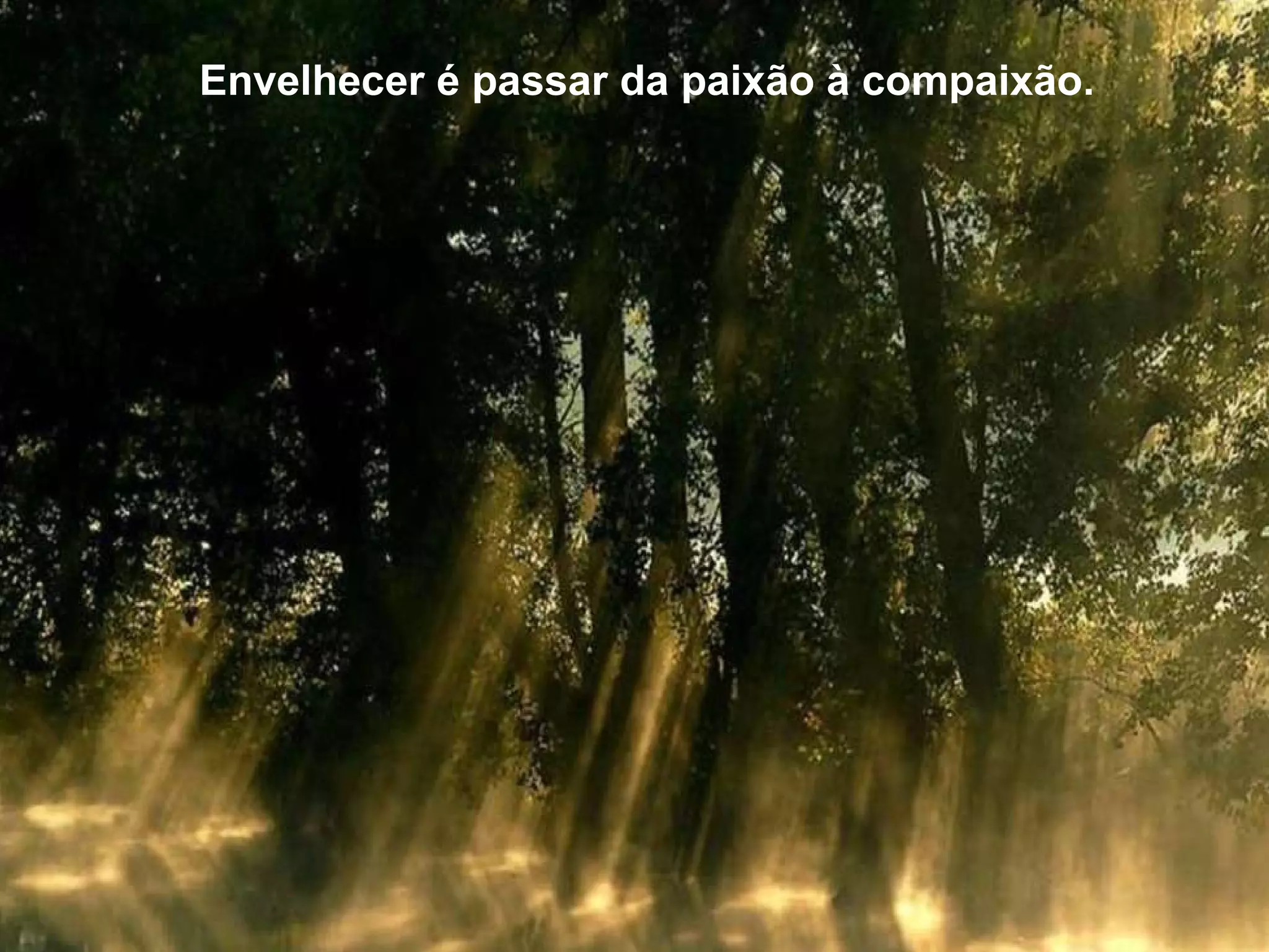 Envelhecer é passar da paixão à compaixão.