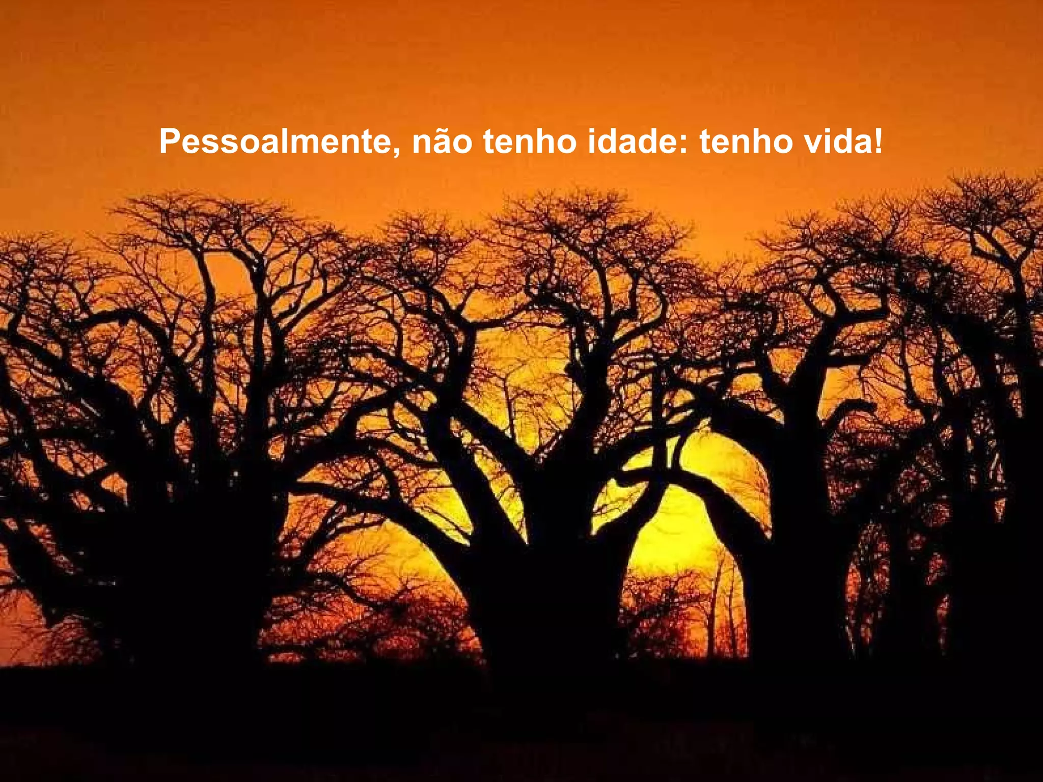 Pessoalmente, não tenho idade: tenho vida!