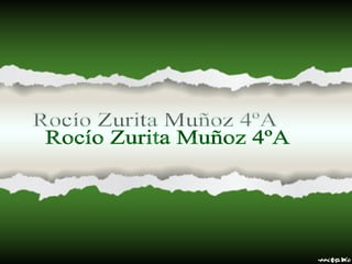 Rocío Zurita Muñoz 4ºA 