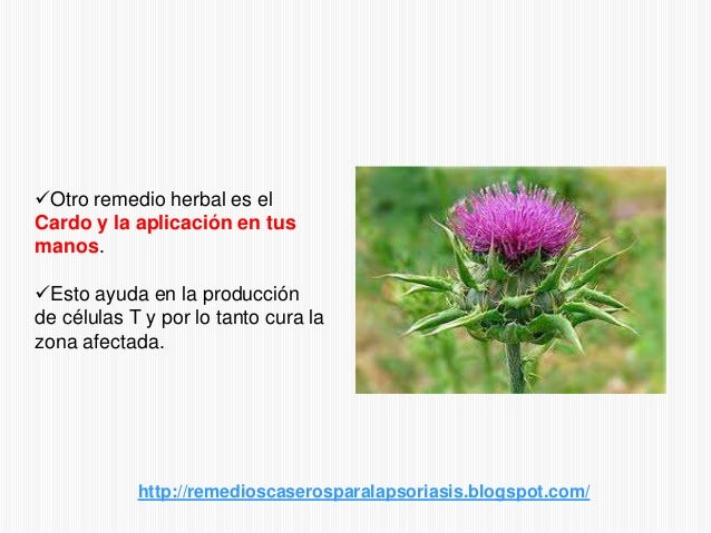 Atopichesky la dermatitis y la dermatitis alérgica en que la distinción