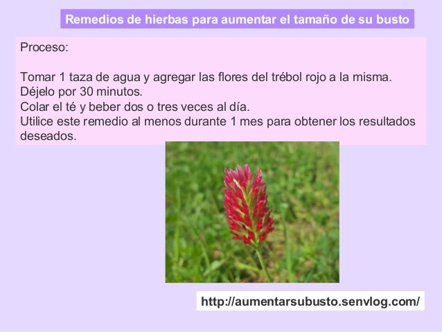 El aumento del pecho en las casas
