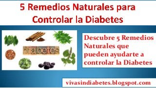 Descubre 5 Remedios Naturales que pueden ayudarte a controlar la Diabetes 
vivasindiabetes.blogspot.com  