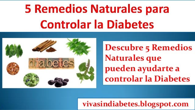 Remedios y Hierbas naturales para controlar la diabetes Remedios y Hierbas naturales para controlar la diabetes