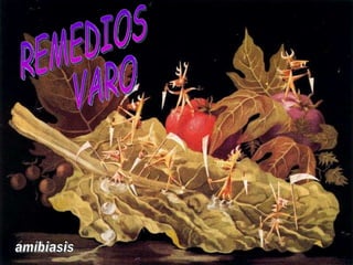 REMEDIOS VARO amíbiasis 