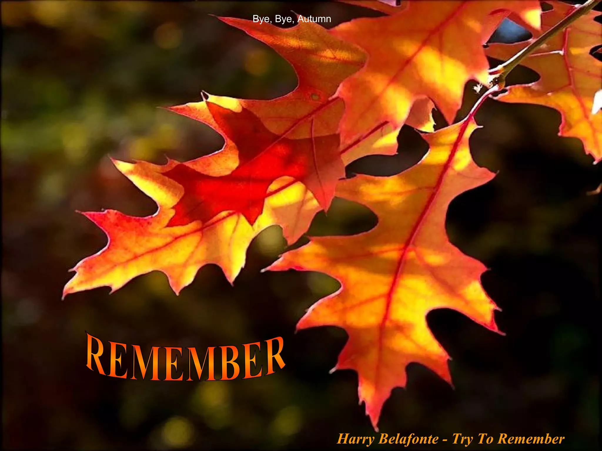 Bye, Bye, Autumn REMEMBER Harry Belafonte - Try To Remember