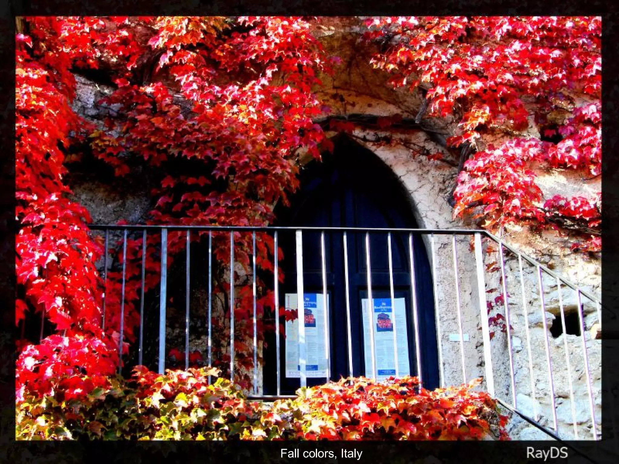 Fall colors, Italy