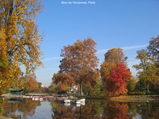 Bois de Vincennes, Paris 