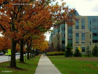 University drive, Canada 