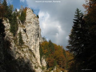 Autumn at mountain, Romania 