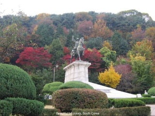 Beautiful fall colors, South Corea 