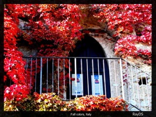 Fall colors, Italy 