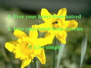 1. Free your heart from hatred    2. Free your mind from worries  3. Live simply 