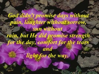 God didn't promise days without pain, laughter without sorrow, sun without  rain, but He did promise strength for the day, comfort for the tears and  light for the way.   