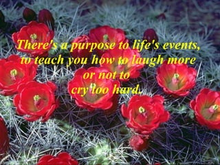 There's a purpose to life's events, to teach you how to laugh more or not to  cry too hard.  