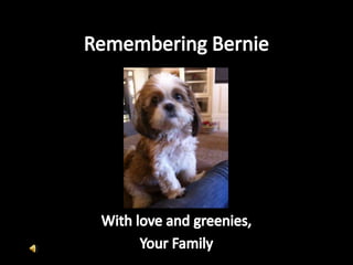 Remembering Bernie With love and greenies, Your Family 