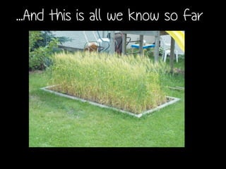 ...And this is all we know so far
 