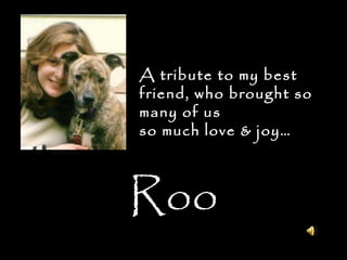 Roo A tribute to my best friend, who brought so many of us so much love & joy… 