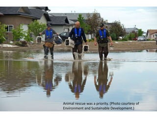 Animal rescue was a priority. (Photo courtesy of
Environment and Sustainable Development.)
 