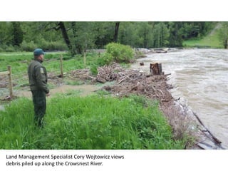 Land Management Specialist Cory Wojtowicz views
debris piled up along the Crowsnest River.
 