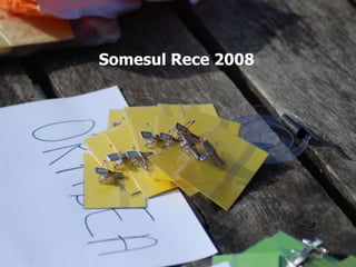 Somesul Rece 2008 