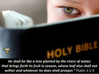 He shall be like a tree planted by the rivers of water,
that brings forth its fruit in season, whose leaf also shall not
wither and whatever he does shall prosper." Psalm 1:1-3
 