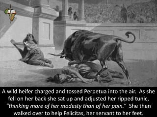 A wild heifer charged and tossed Perpetua into the air. As she
fell on her back she sat up and adjusted her ripped tunic,
“thinking more of her modesty than of her pain.” She then
walked over to help Felicitas, her servant to her feet.
 