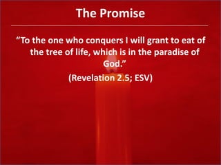 The Promise“To the one who conquers I will grant to eat of the tree of life, which is in the paradise of God.”(Revelation 2.5; ESV)