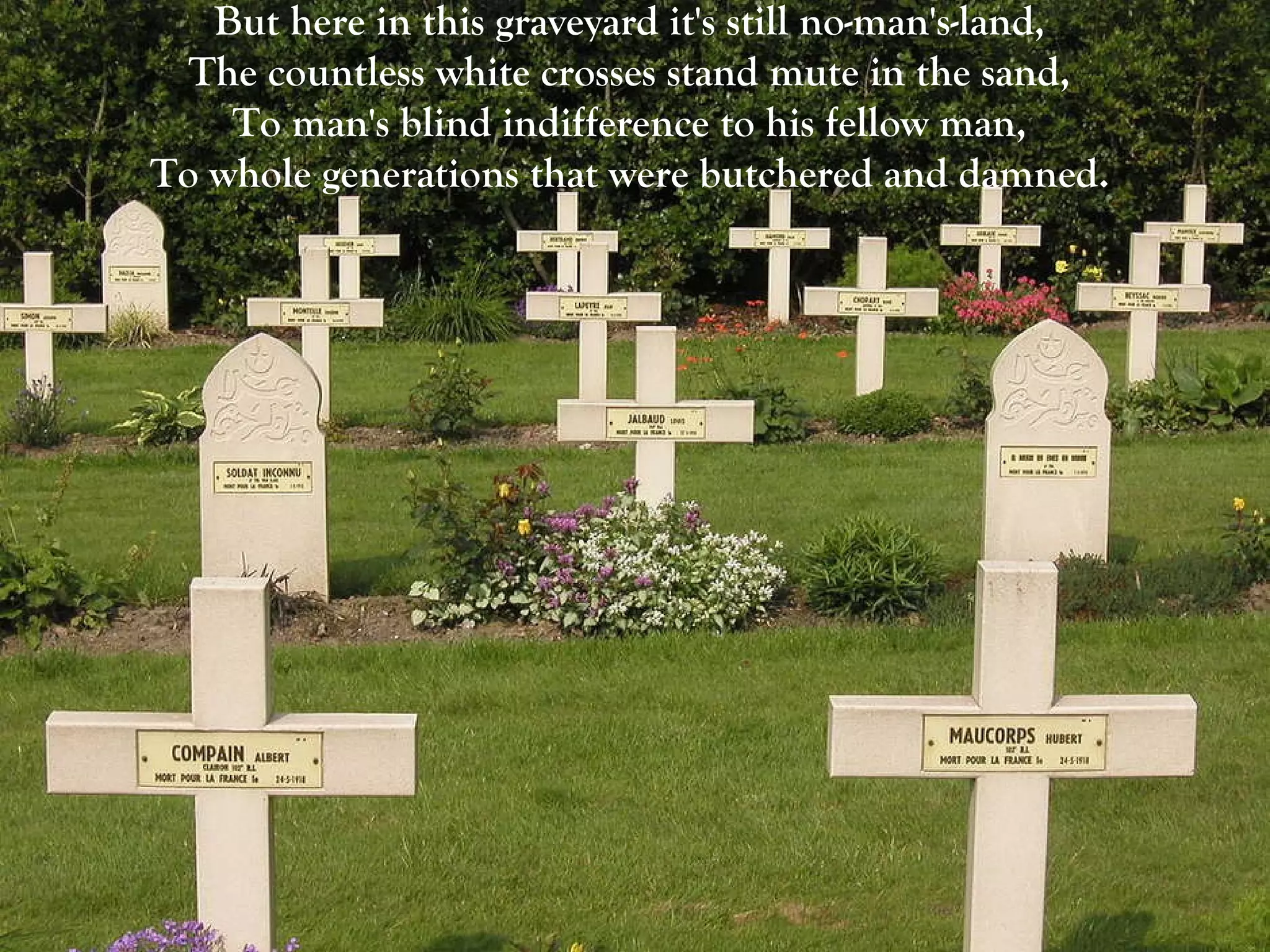 But here in this graveyard it's still no-man's-land,  The countless white crosses stand mute in the sand,  To man's blind indifference to his fellow man,  To whole generations that were butchered and damned.  