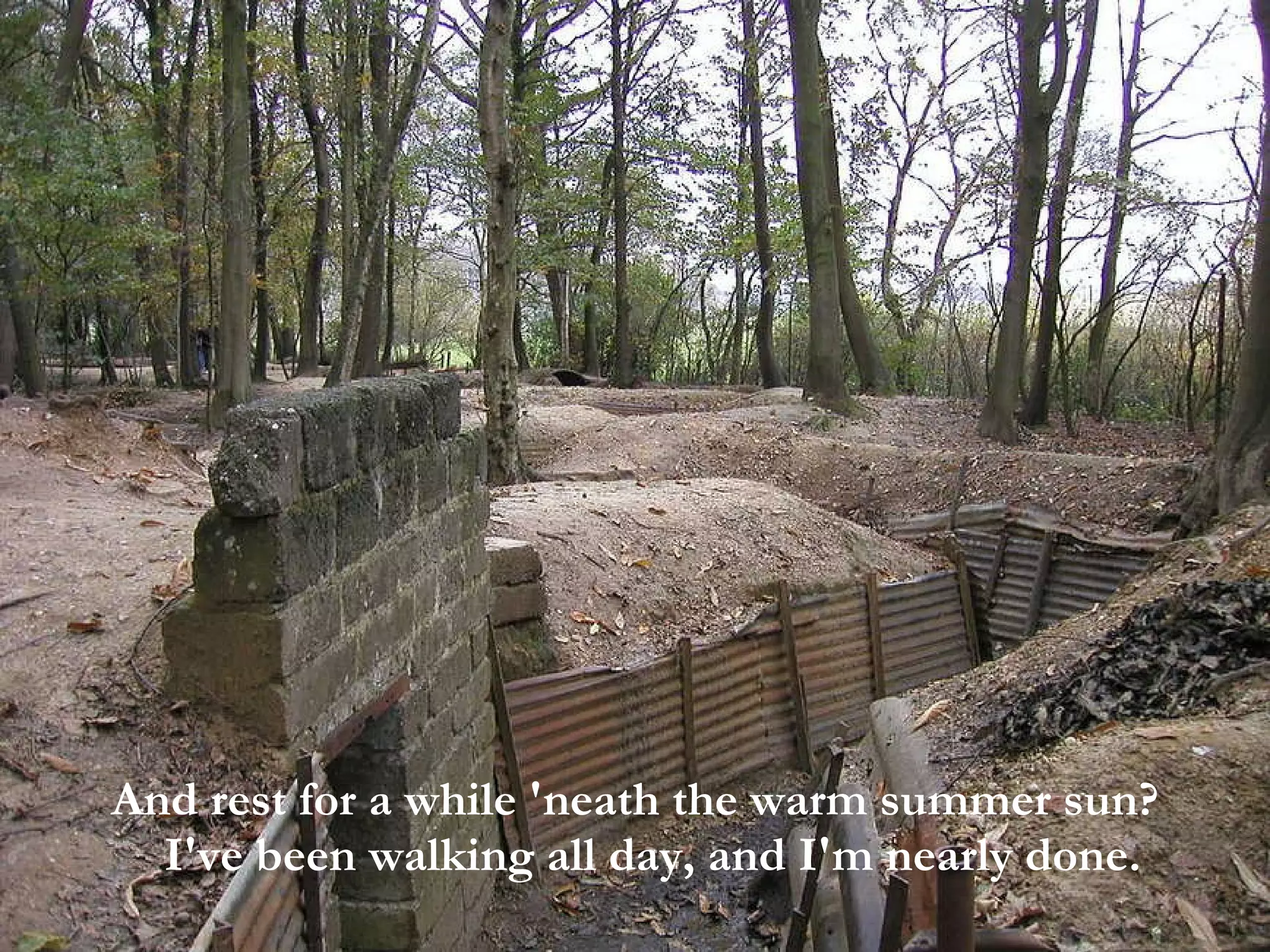 And rest for a while 'neath the warm summer sun? I've been walking all day, and I'm nearly done.  