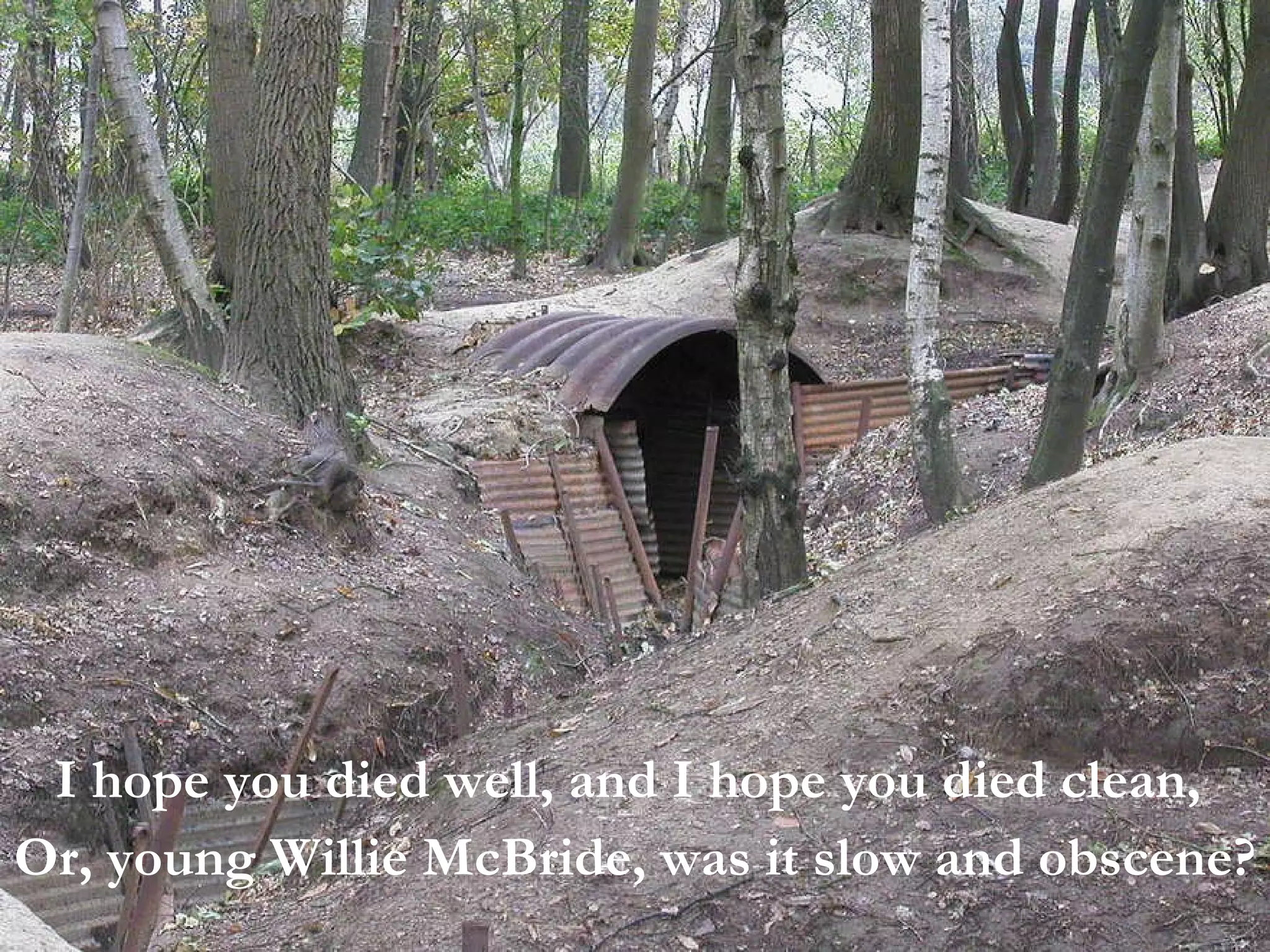 I hope you died well, and I hope you died clean,  Or, young Willie McBride, was it slow and obscene?  