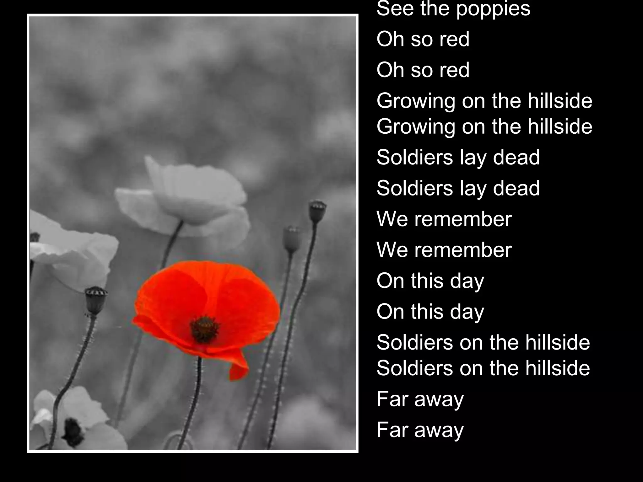 See the poppies
Oh so red
Oh so red
Growing on the hillside
Growing on the hillside
Soldiers lay dead
Soldiers lay dead
We remember
We remember
On this day
On this day
Soldiers on the hillside
Soldiers on the hillside
Far away
Far away