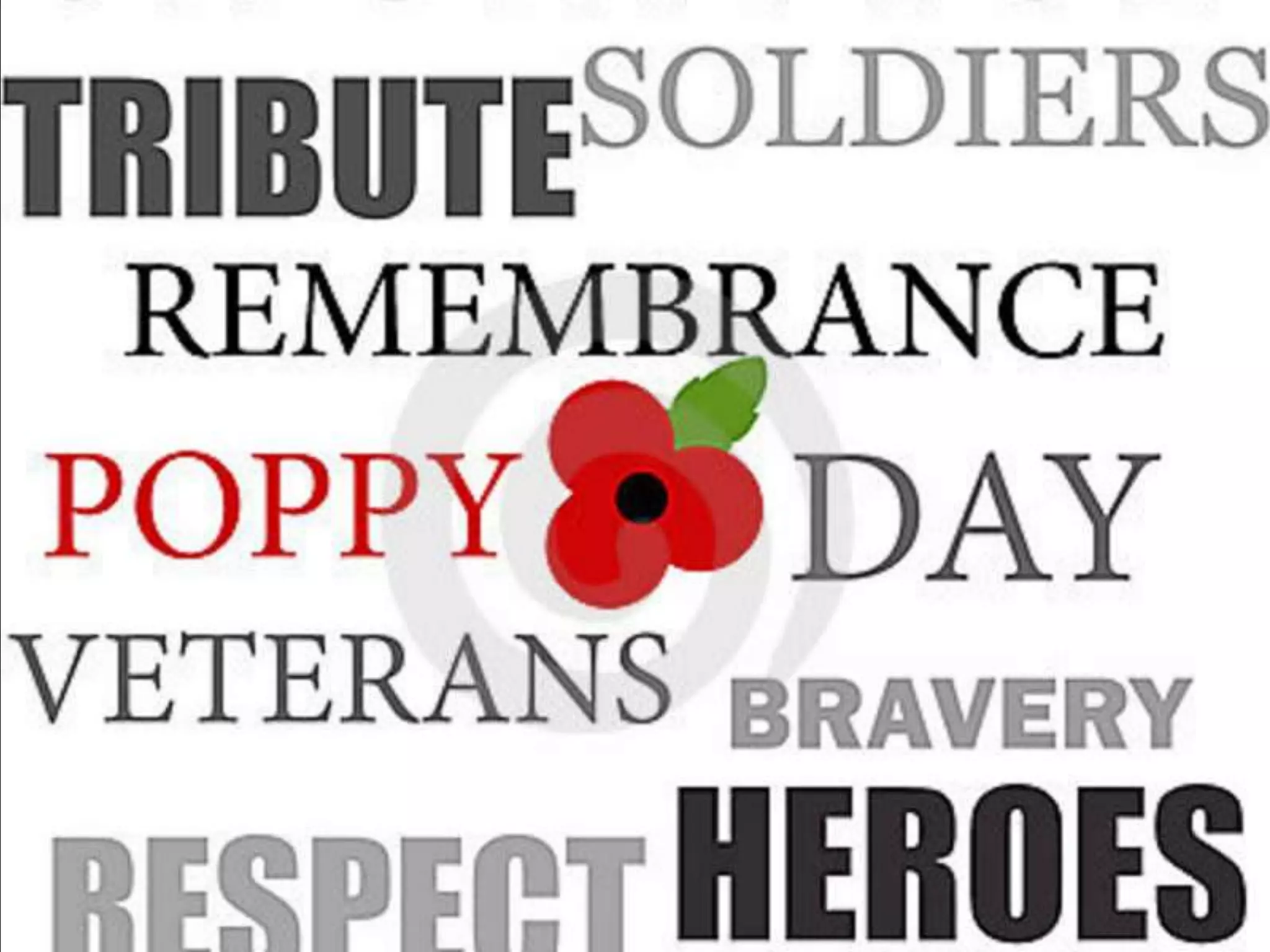 Remembrance Day 2013