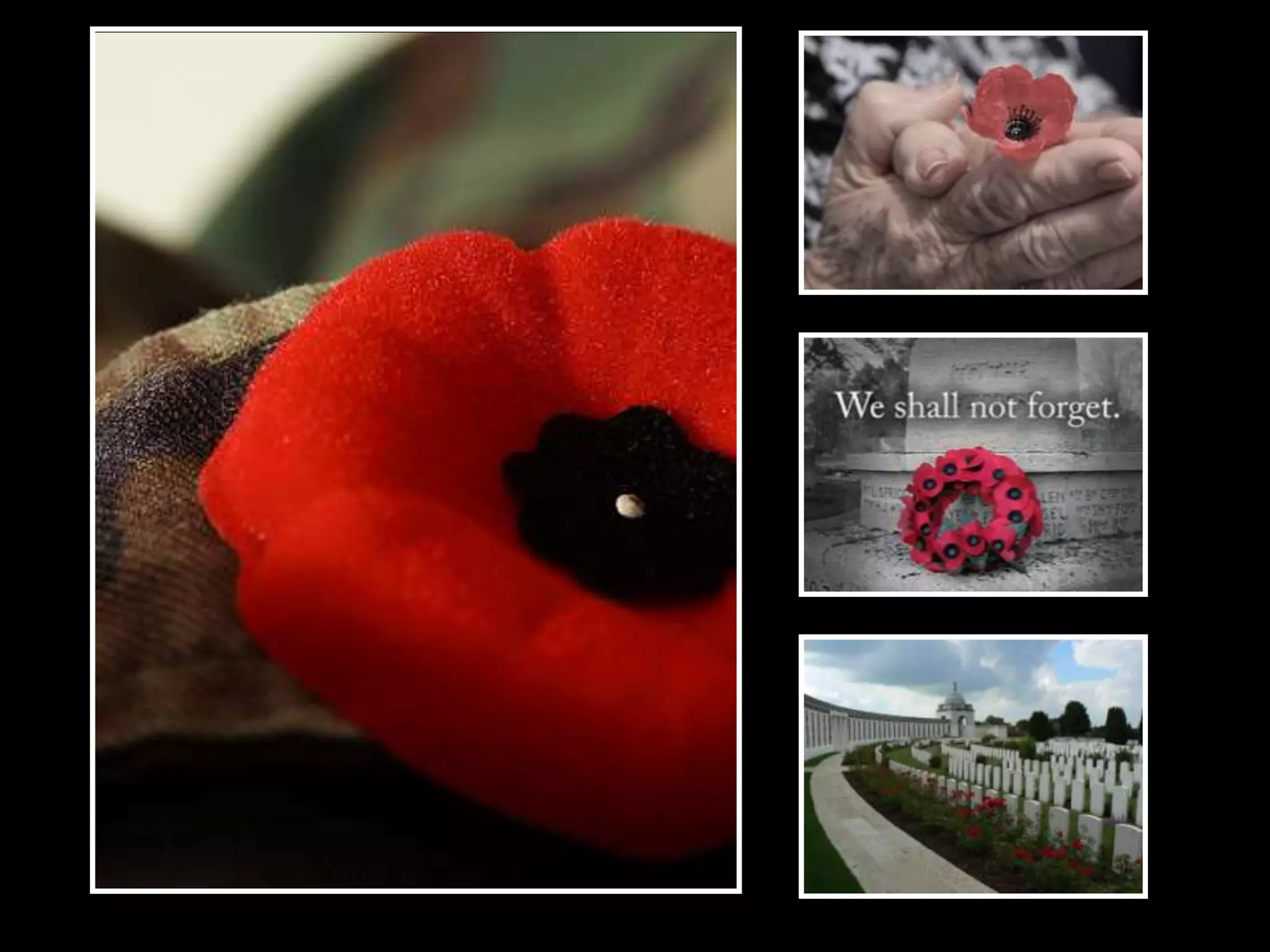 Remembrance Day 2013