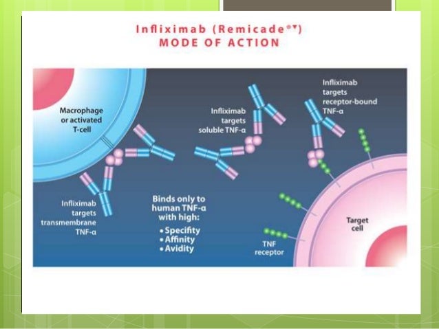 remicade infliximab presentation how remicade works