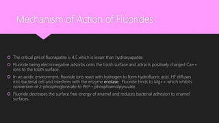 Mechanism of Action of Fluorides
 The critical pH of fluorapatite is 4.5 which is lesser than hydroxyapatite.
 Fluoride being electronegative adsorbs onto the tooth surface and attracts positively charged Ca++
ions to the tooth surface.
 In an acidic environment, fluoride ions react with hydrogen to form hydrofluoric acid. HF diffuses
into bacterial cell and interferes with the enzyme enolase. Fluoride binds to Mg++ which inhibits
conversion of 2-phosphoglycerate to PEP – phosphoenolpyruvate.
 Fluoride decreases the surface free energy of enamel and reduces bacterial adhesion to enamel
surfaces.
 