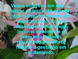 Vezes ocorrem, em que o pavor se torna tão grande, que o Espírito desiste da reencarnação ou, em desespero, interrompe inconscientemente o programa traçado, resultando em aborto natural a gestação em andamento. 