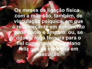 Os meses de ligação física com a mãe são, também, de vinculação psíquica, em que o recomeçante em sofrimento pede apoio e amparo, ou, se ditoso, roga ternura para o fiel cumprimento do plano feliz que se encontra em execução. 