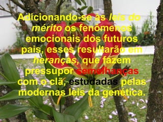 Adicionando-se às  leis do mérito  os fenômenos emocionais dos futuros pais, esses resultarão em  heranças,  que fazem pressupor  semelhanças  com o clã,  estudadas  pelas modernas leis da genética. 