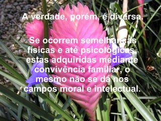 A verdade, porém, é diversa.   Se ocorrem semelhanças físicas e até psicológicas, estas adquiridas mediante convivência familiar, o mesmo não se dá nos campos moral e intelectual. 
