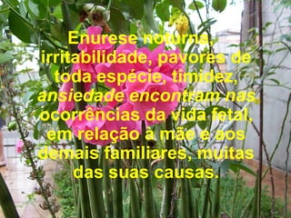 Enurese noturna, irritabilidade, pavores de toda espécie, timidez,  ansiedade encontram nas  ocorrências da vida fetal, em relação à mãe e aos demais familiares, muitas das suas causas. 