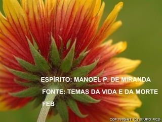 ESPÍRITO: MANOEL P. DE MIRANDA FONTE: TEMAS DA VIDA E DA MORTE FEB 