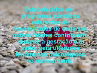 Estabelecidos os programas cármicos referentes às necessidades de cada ser, outros fatores contribuem, durante a gestação e o parto, para ulteriores fenômenos psicológicos no reencarnante. 