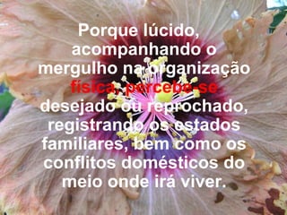 Porque lúcido, acompanhando o mergulho na organização  física, percebe-se  desejado ou reprochado, registrando os estados familiares, bem como os conflitos domésticos do meio onde irá viver. 