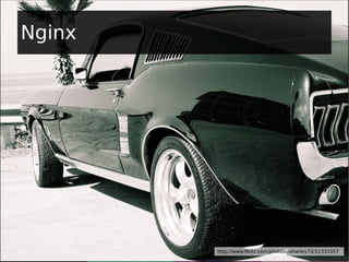 Nginx
http://www.flickr.com/photos/caharley72/11332057
 