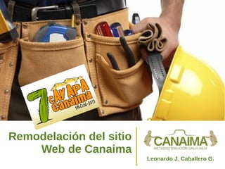 Remodelación del sitio
Web de Canaima
Leonardo J. Caballero G.

 