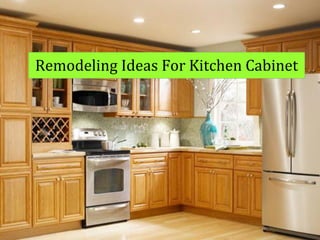Remodeling Ideas For Kitchen Cabinet
 