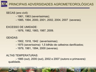 SECAS (ano civil): - 1961, 1963 (severíssimas); - 1985, 1994, 2000, 2001, 2002, 2004, 2007  (severas). EXCESSO DE UMIDADE: - 1976, 1982, 1983, 1987, 2009. GEADAS: - 1902, 1918, 1942  (severíssimas); - 1975 (severíssima): 1,5 bilhão de cafeeiros danificados; - 1979, 1981, 1994, 2000 (severas). ALTAS TEMPERATURAS: - 1985 (out), 2000 (out), 2002 e 2007 (outono e primavera):  qualidade. PRINCIPAIS ADVERSIDADES AGROMETEOROLÓGICAS 