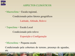ASPECTOS CLIMÁTICOS Macroclima =   Escala regional,  Condicionado pelos fatores geográficos Latitude, Altitude, Relevo Topoclima =   Escala Local Condicionado pelo relevo Exposição e Configuração Microclima =   Pequena escala Condicionado pela cobertura do terreno, presença de aguadas, etc 