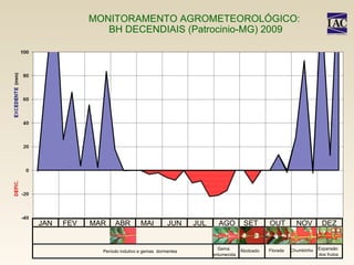 MONITORAMENTO AGROMETEOROLÓGICO:  BH DECENDIAIS (Patrocinio-MG) 2009 JAN FEV MAR ABR MAI JUN JUL AGO SET OUT NOV DEZ Período indutivo e gemas  dormentes Gema  entumecida Abotoado Florada Chumbinho Expansão  dos frutos 