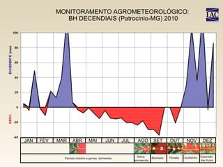 MONITORAMENTO AGROMETEOROLÓGICO:  BH DECENDIAIS (Patrocinio-MG) 2010 JAN FEV MAR ABR MAI JUN JUL AGO SET OUT NOV DEZ Período indutivo e gemas  dormentes Gema  entumecida Abotoado Florada Chumbinho Expansão  dos frutos 